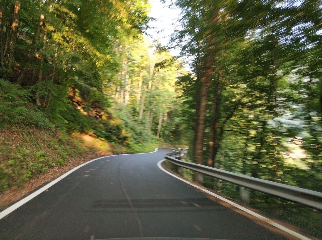 View at km 0.3