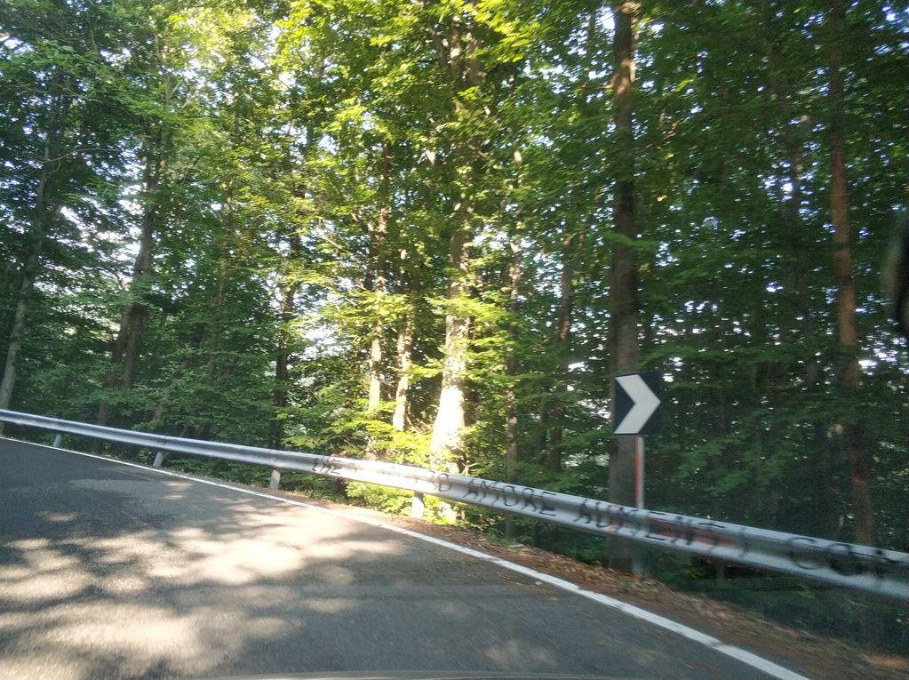 View at km 4.4