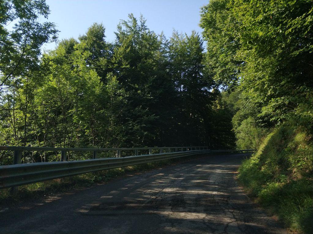 View at km 6.5