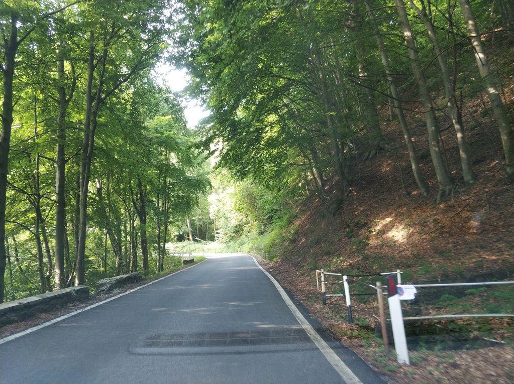 View at km 11.2
