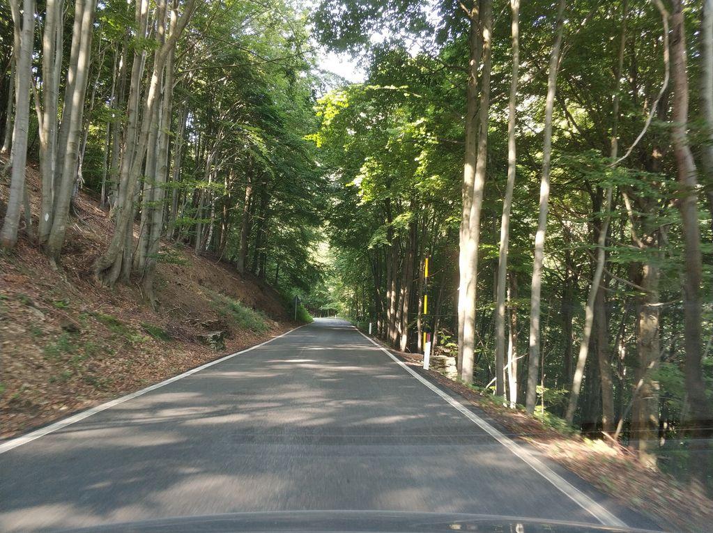 View at km 11.8