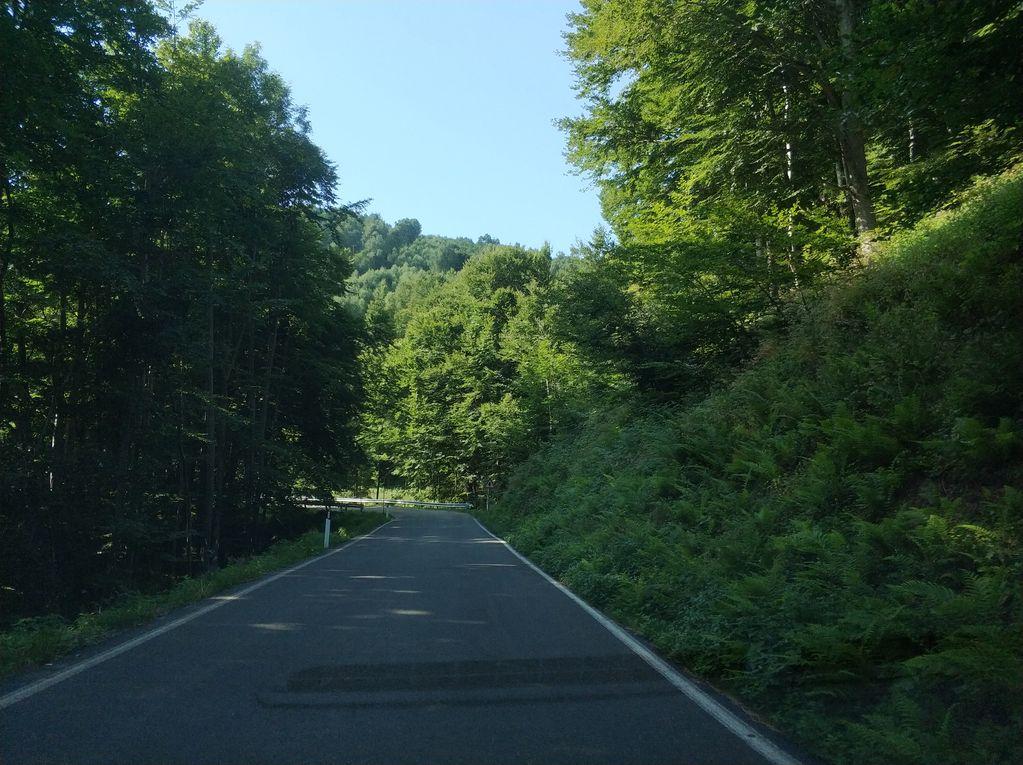 View at km 12.3