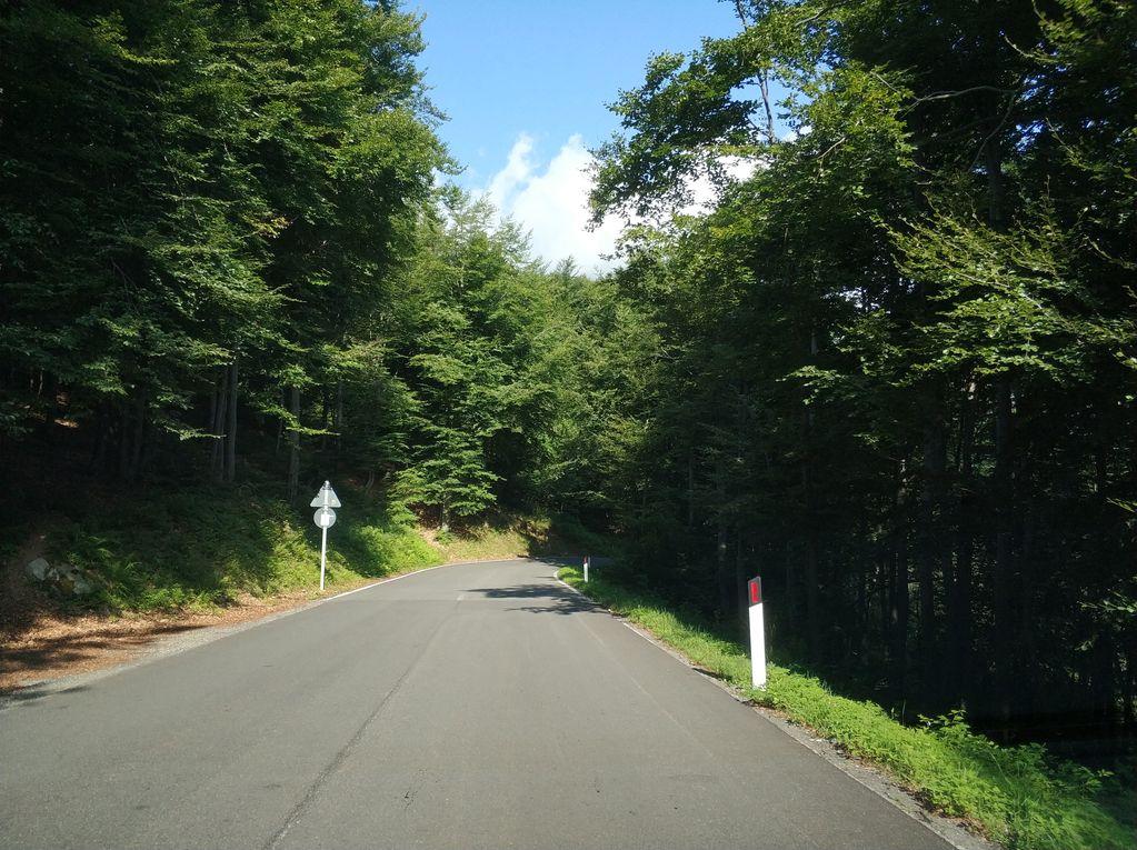View at km 12.8