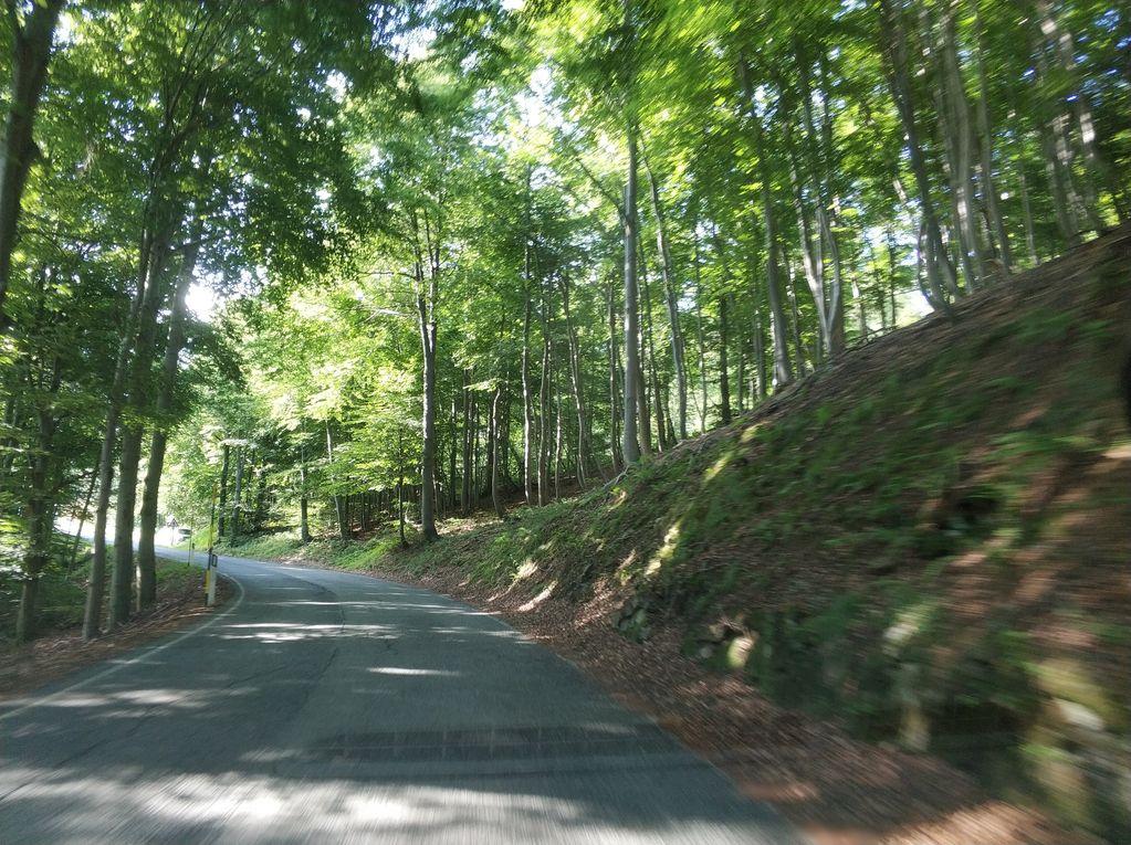 View at km 13.3