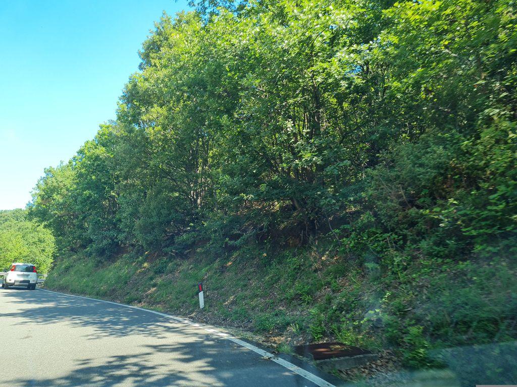 View at km 1.8