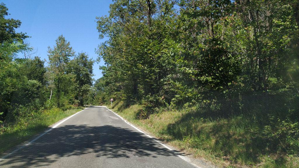 View at km 2.3