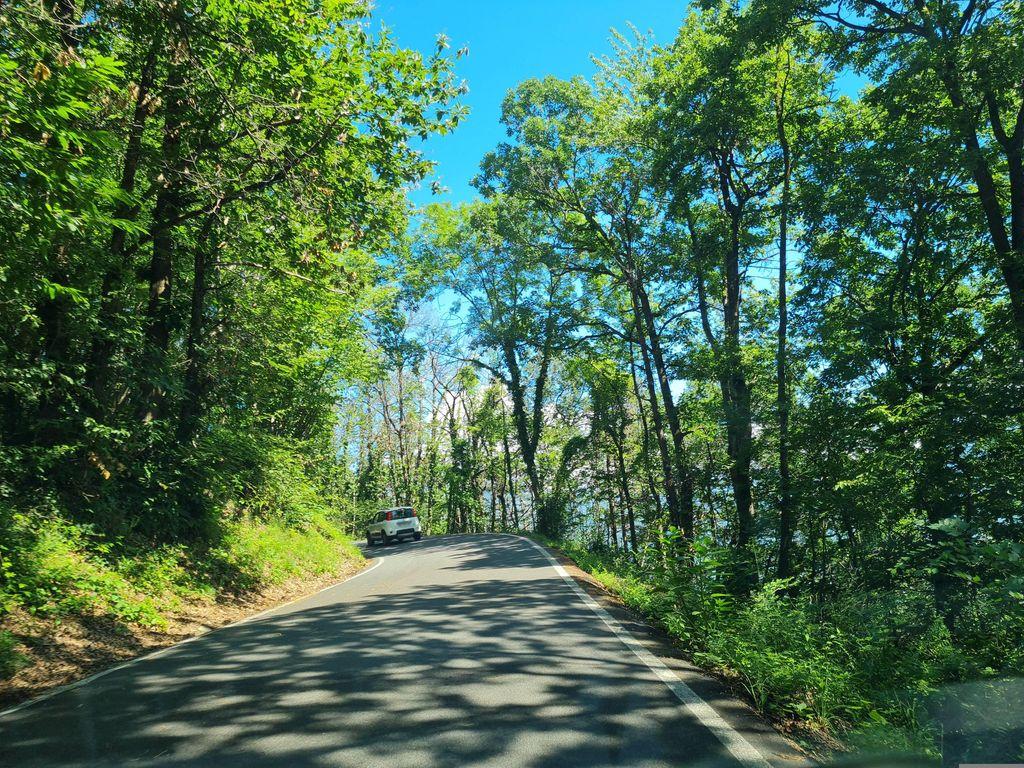 View at km 2.8