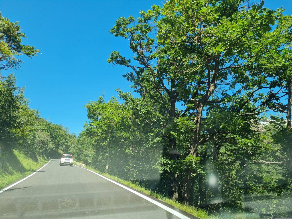 View at km 8