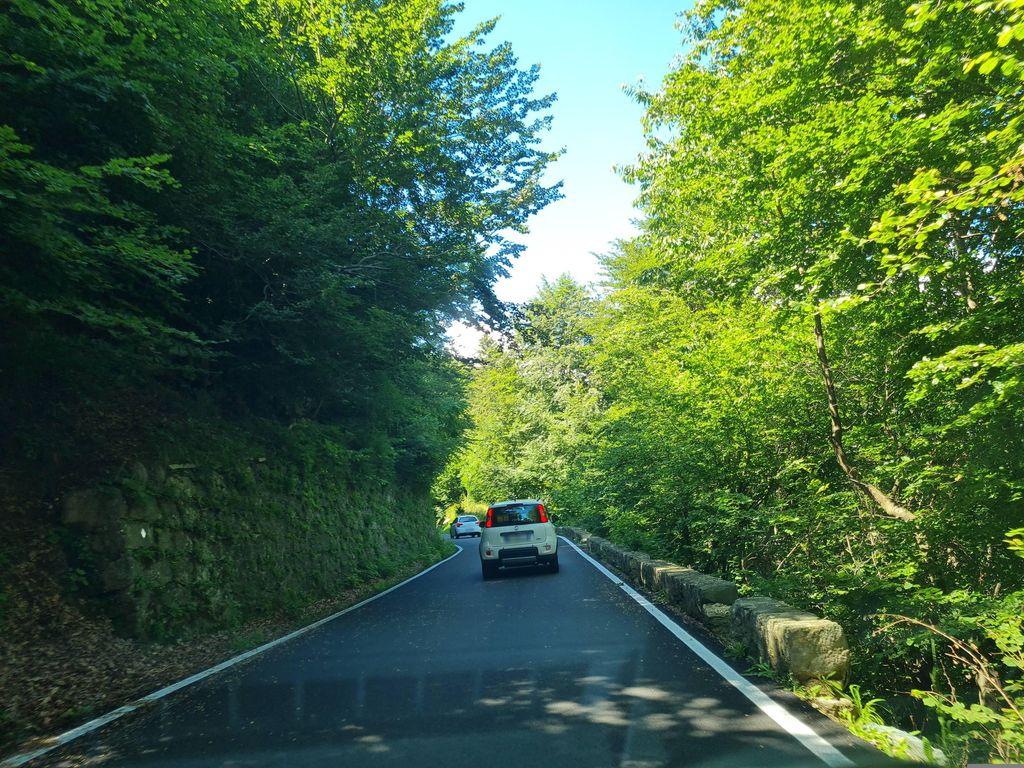 View at km 9.5
