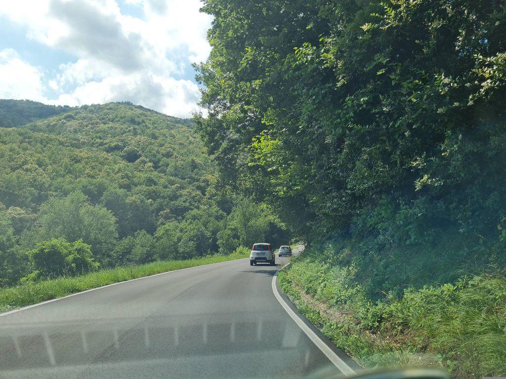 View at km 2.9