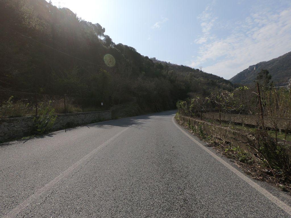 View at km 0.3