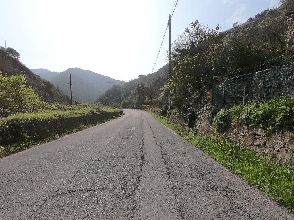 View at km 1.3