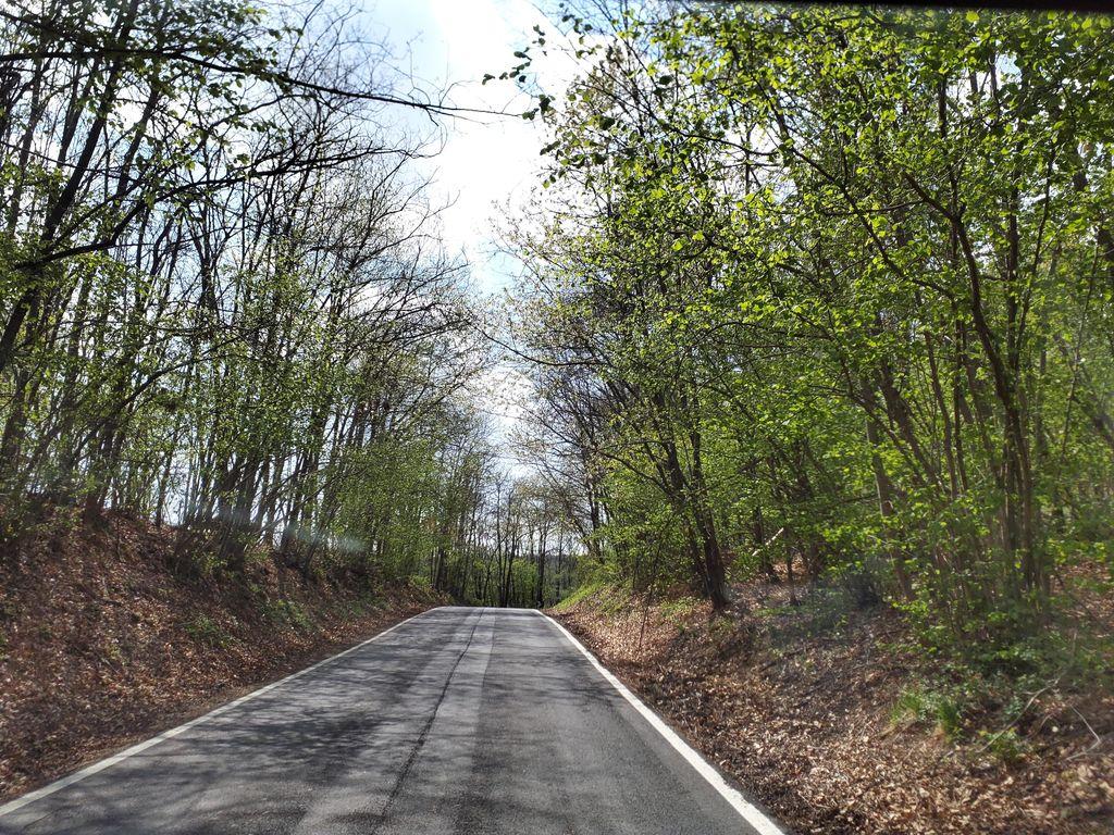 View at km 6.5