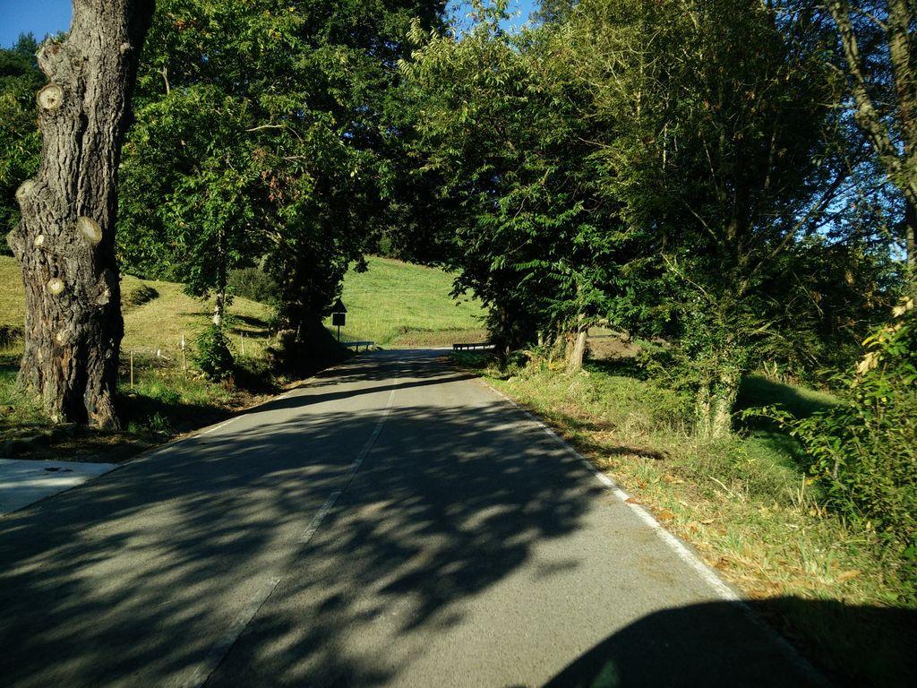 View at km 9.5