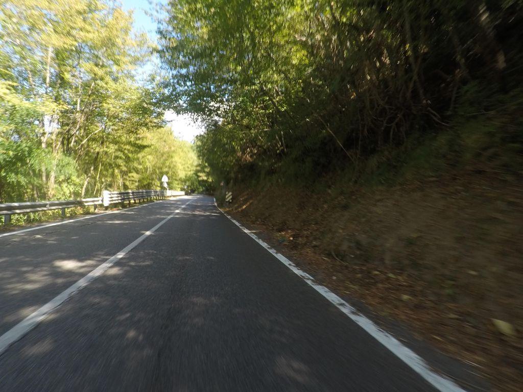 View at km 7.9