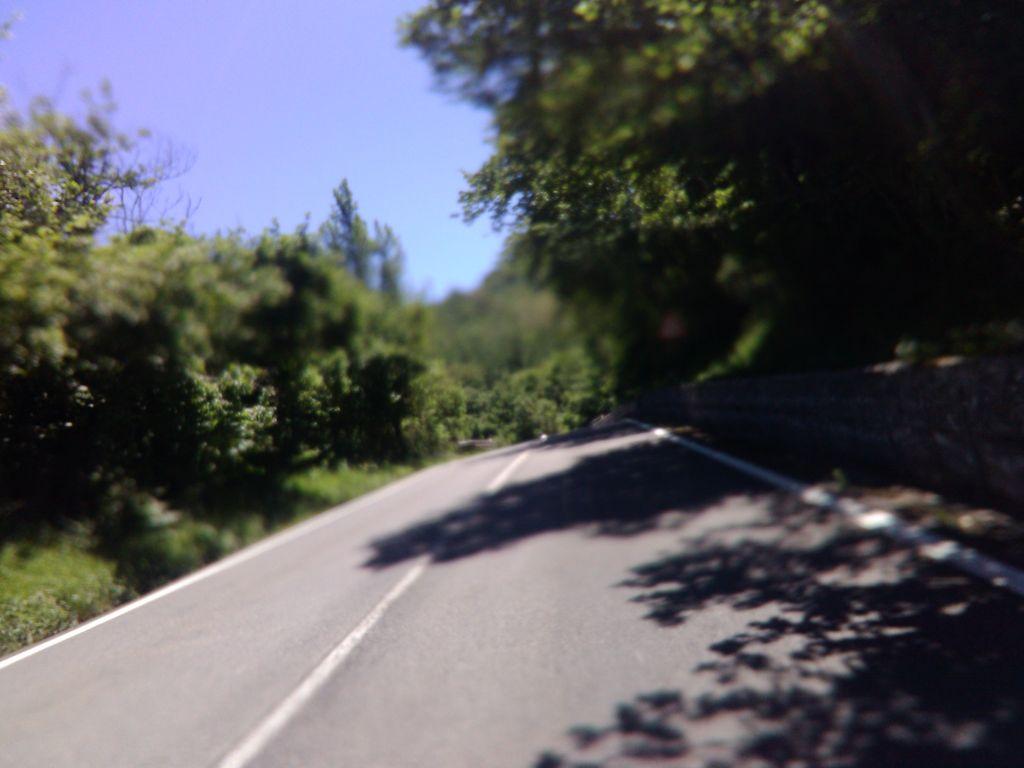 View at km 1.4