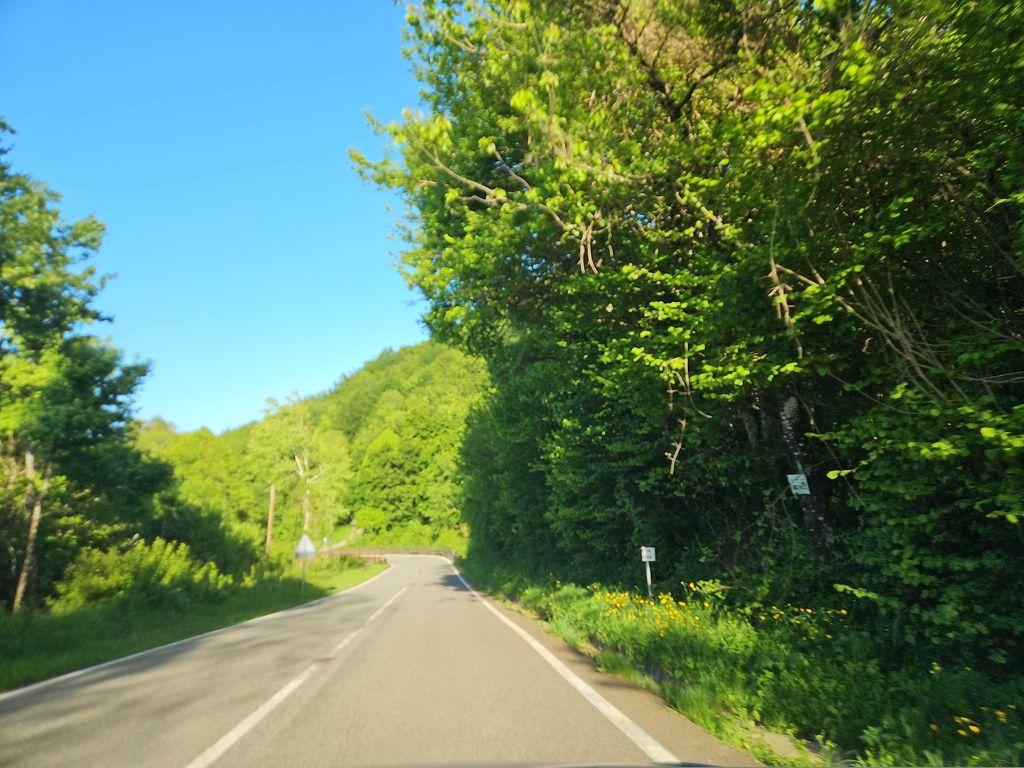 View at km 2