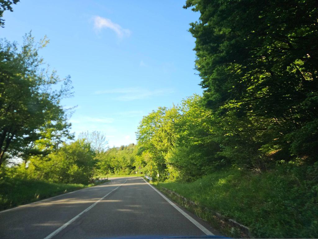 View at km 3.1