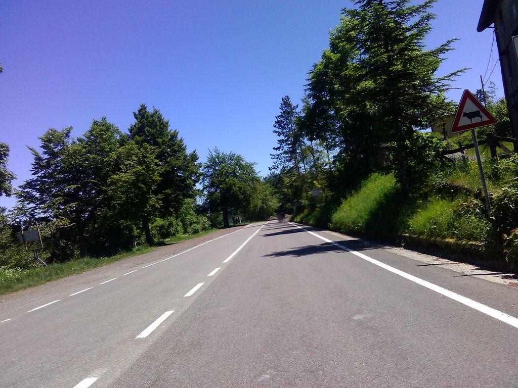 View at km 5.6