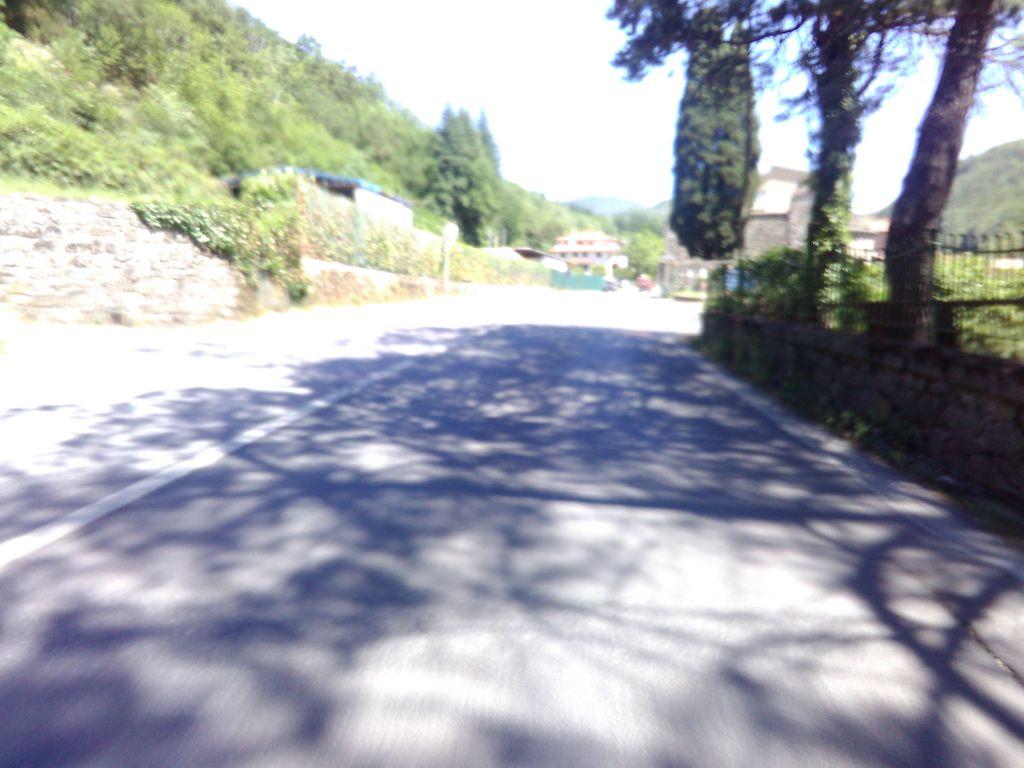 View at km 1.8
