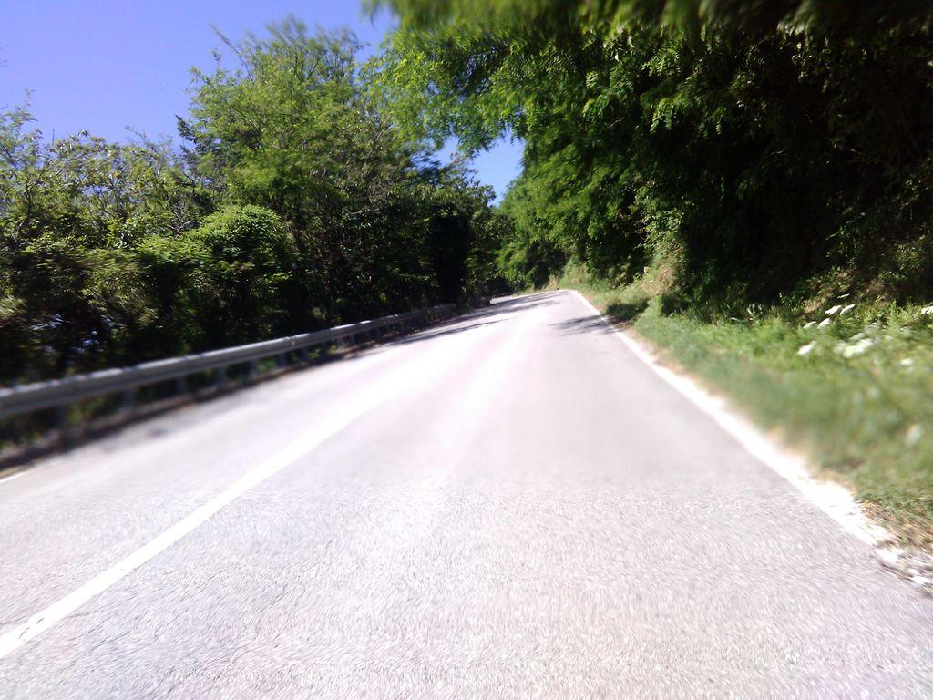 View at km 4.4
