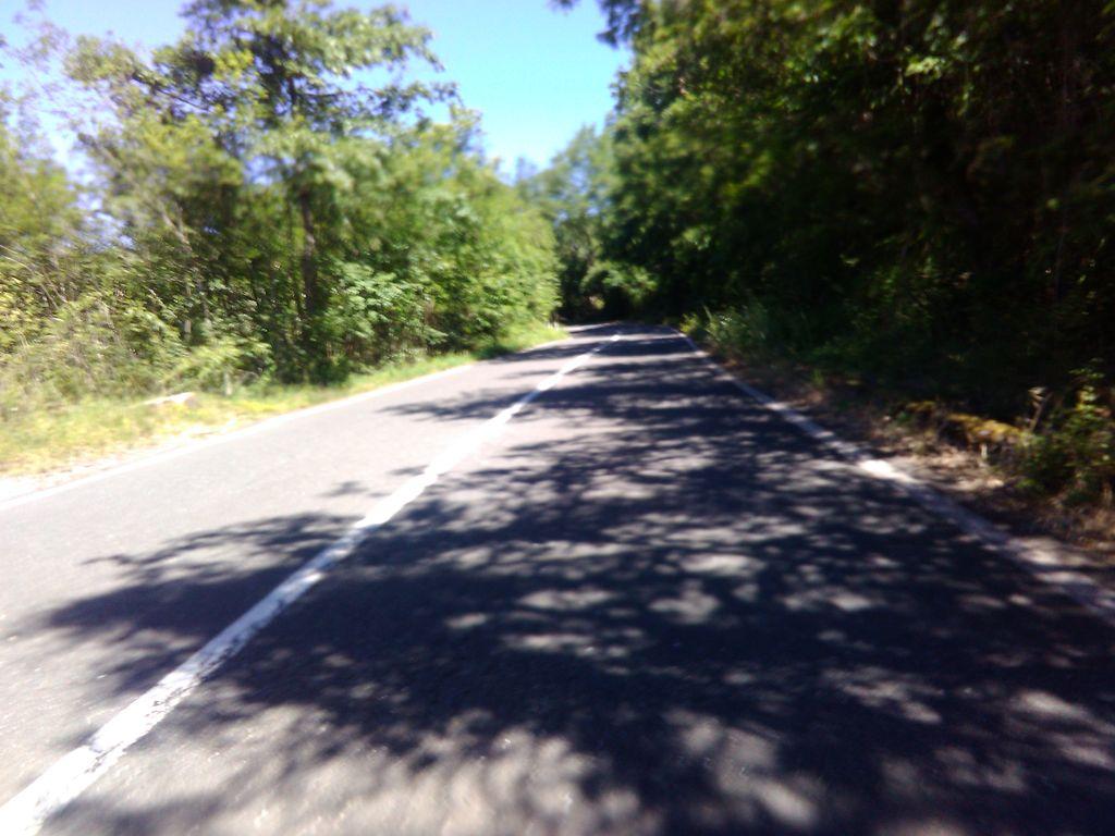 View at km 9.5