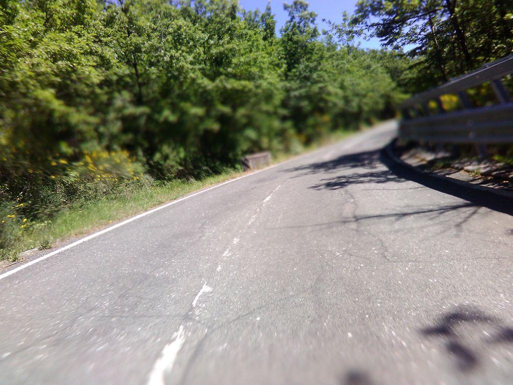 View at km 10
