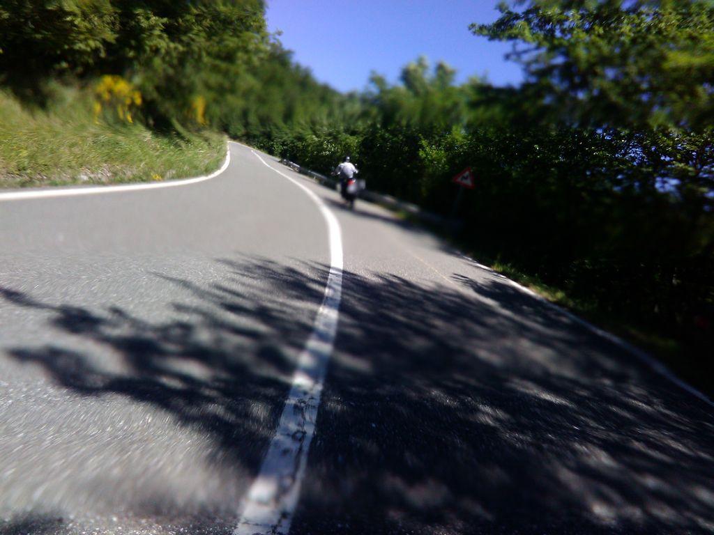 View at km 10.5