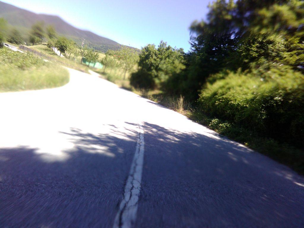 View at km 11.6