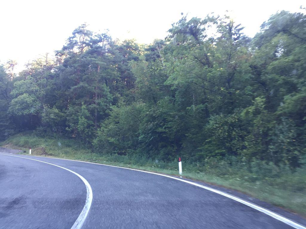 View at km 1.3