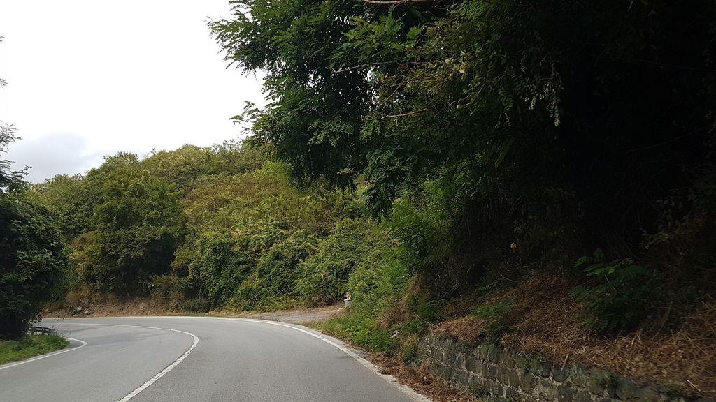 View at km 12