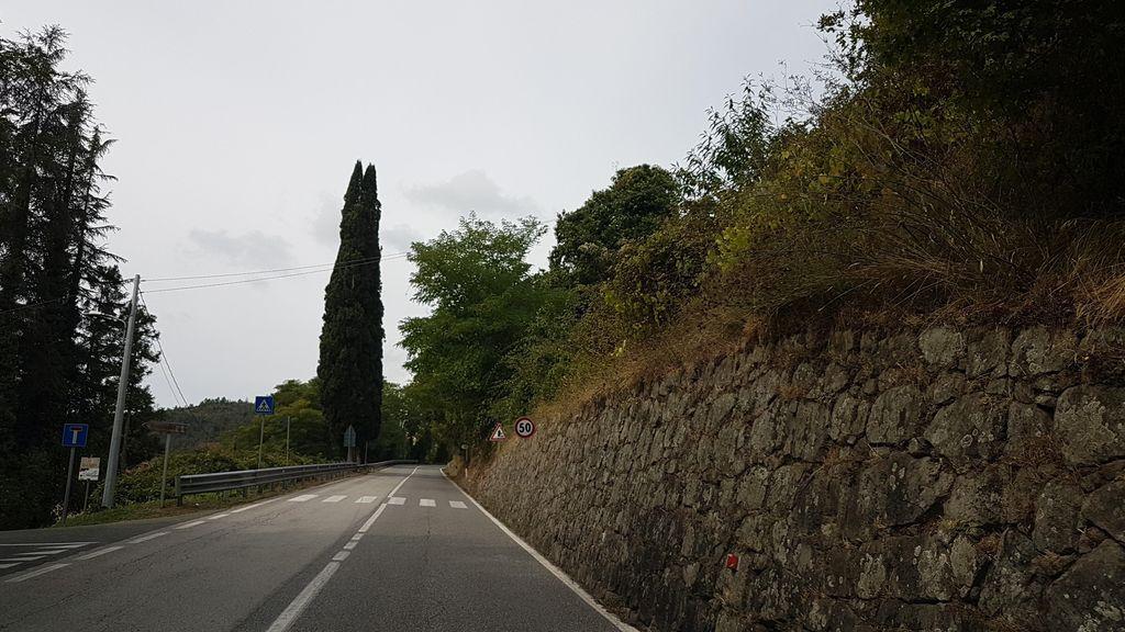 View at km 0.8