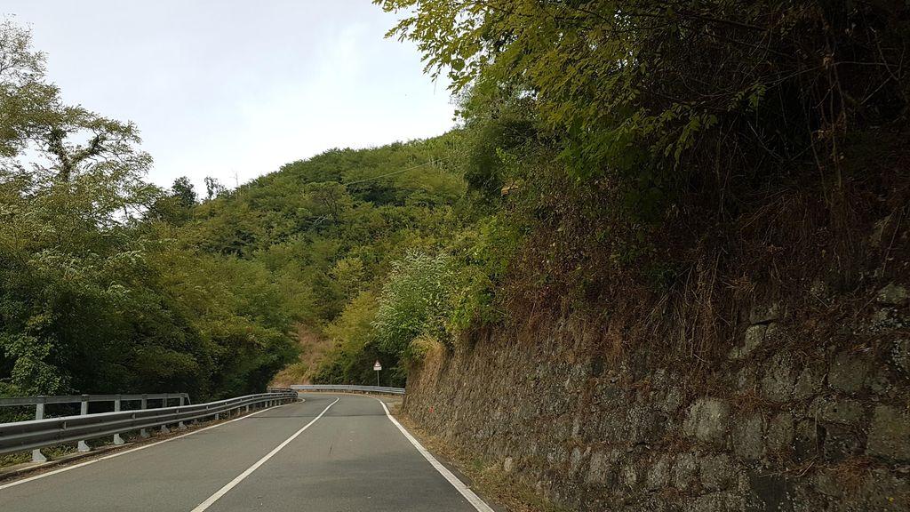View at km 1.3
