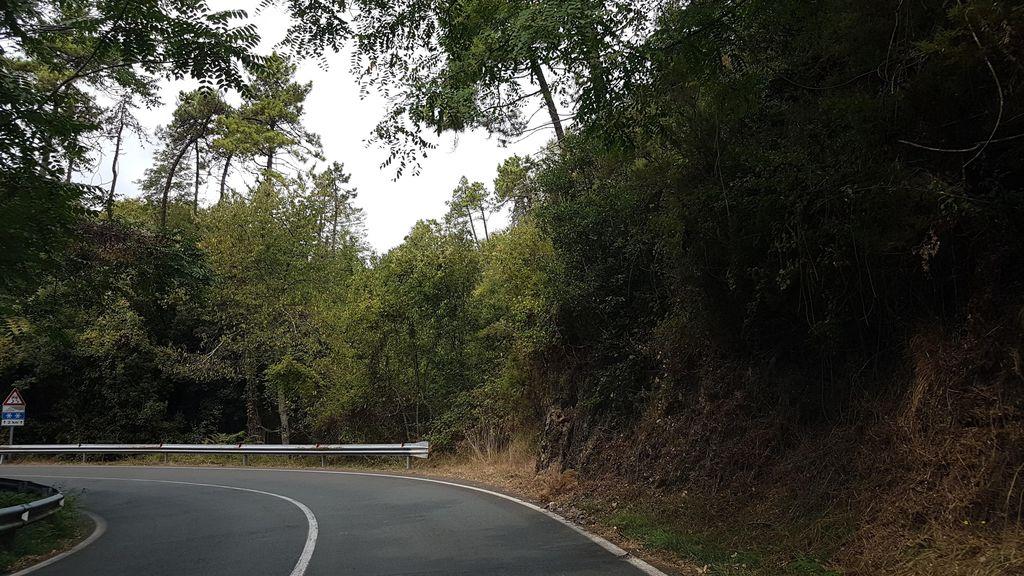 View at km 6.6