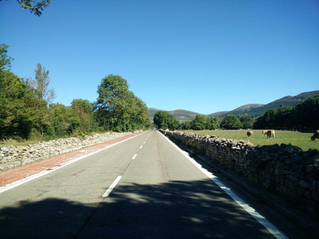 View at km 0.8