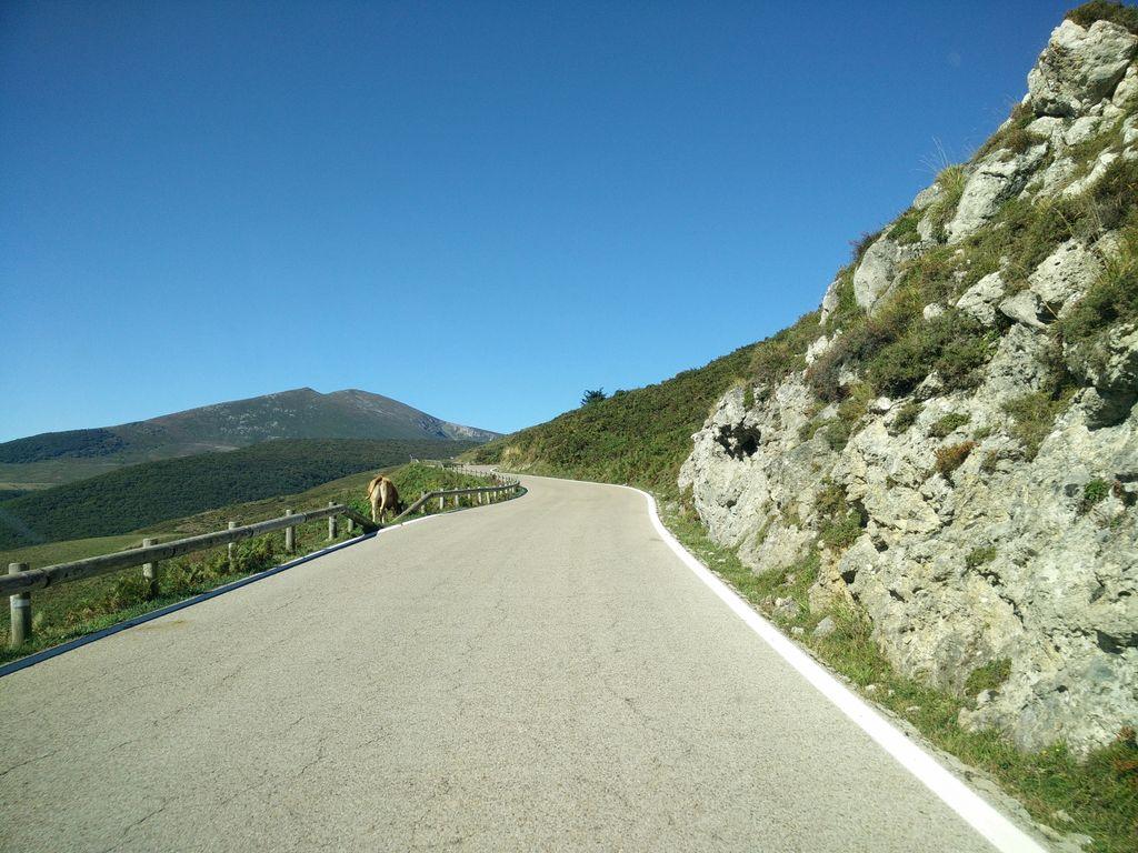 View at km 4.2