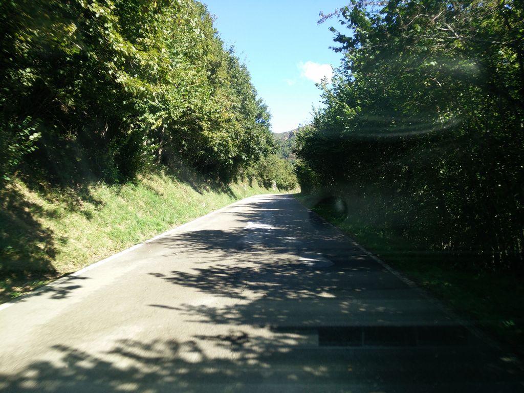 View at km 12.5