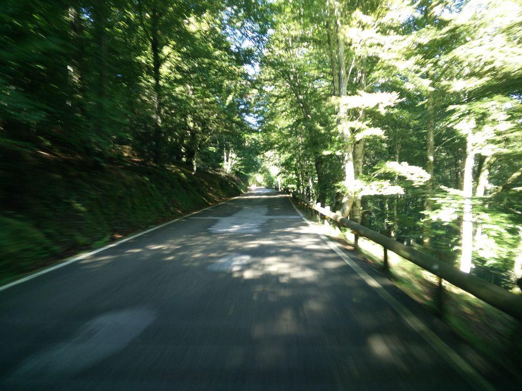 View at km 19.2