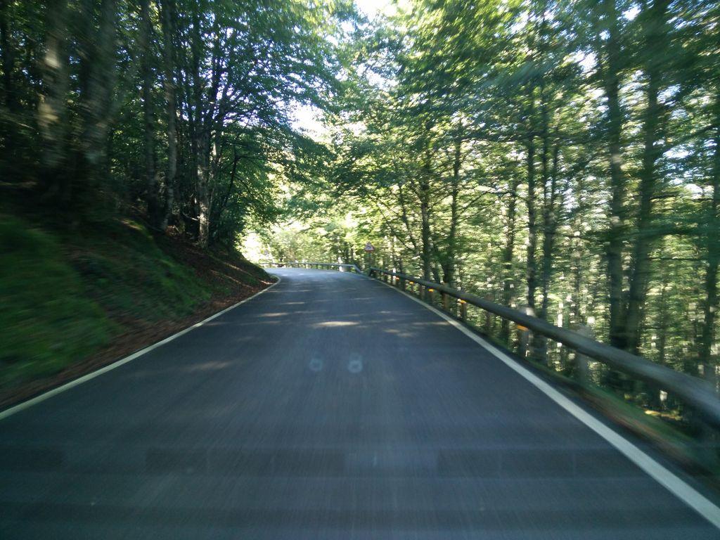 View at km 22.8