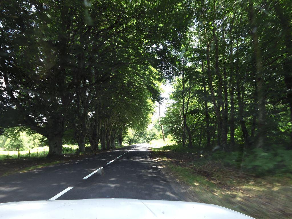 View at km 11.4