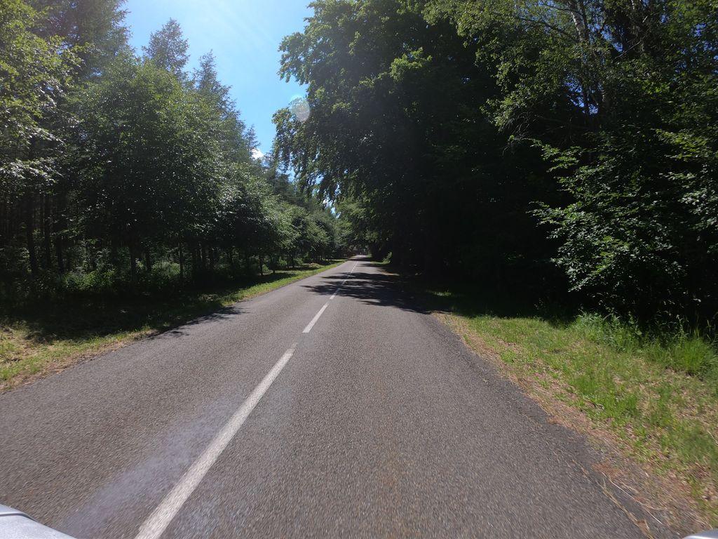View at km 11.9
