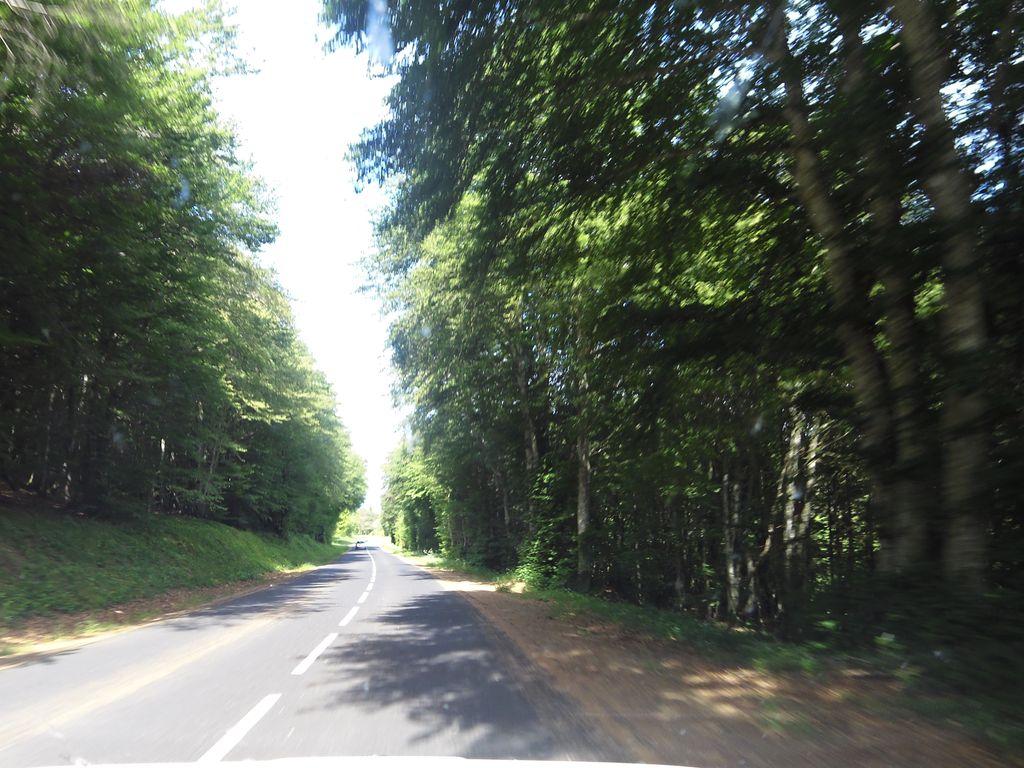 View at km 13