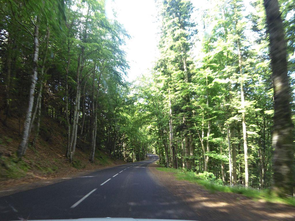 View at km 13.5