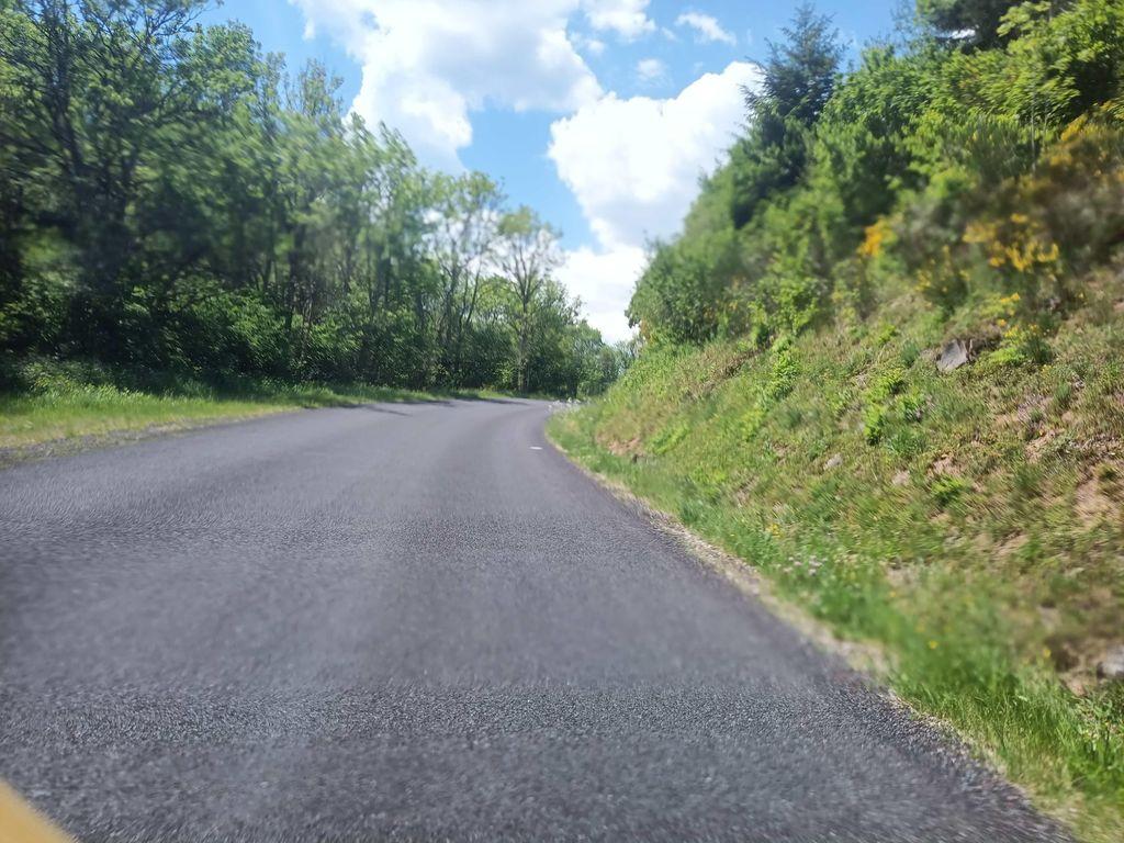 View at km 1.3