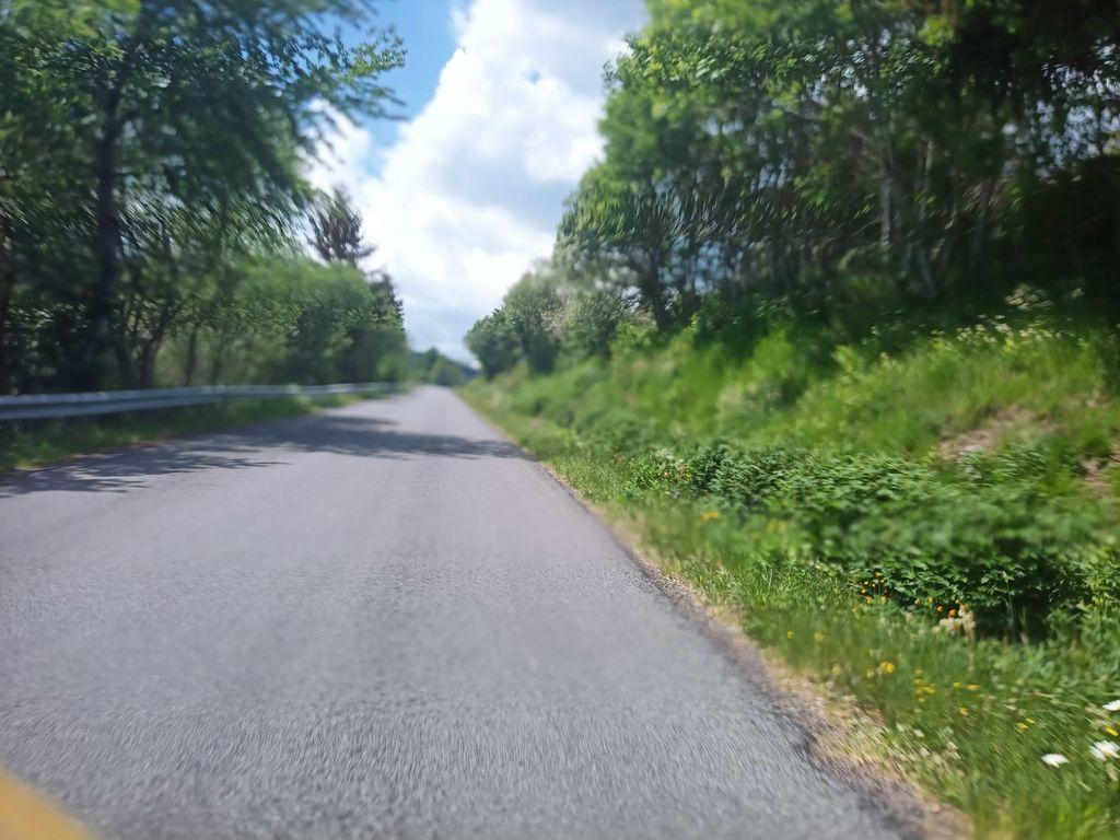 View at km 5.5