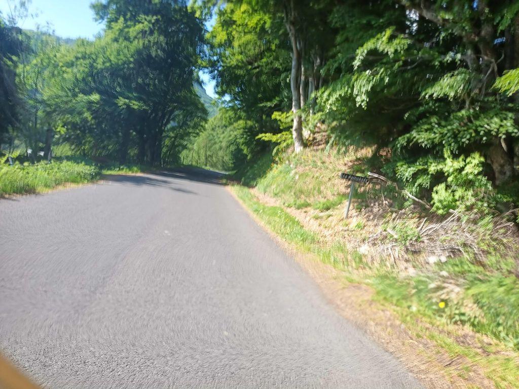 View at km 2.4