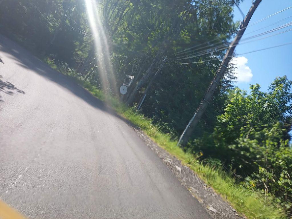 View at km 0.3