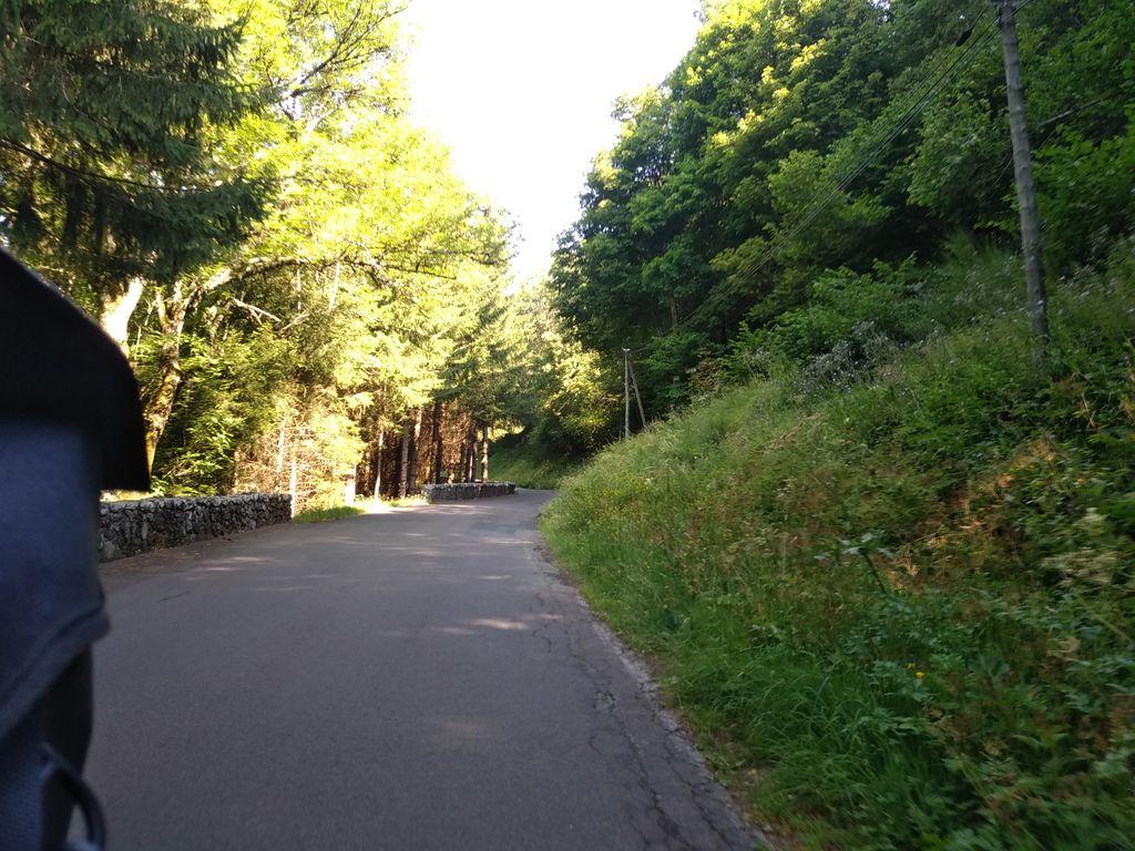 View at km 1.3
