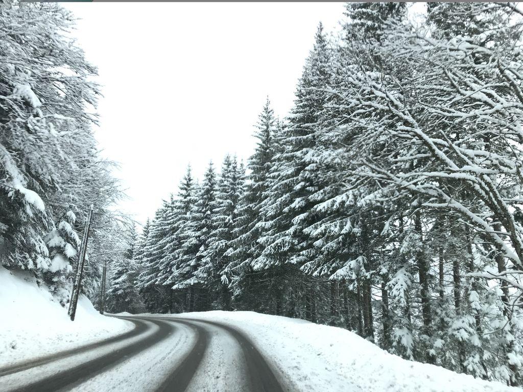 View at km 2.9
