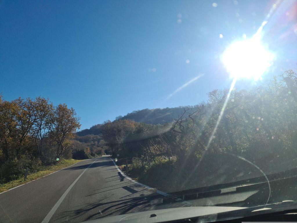 View at km 11.6